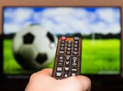 英足协主席,警告,本赛季恐难,立博体育官网,APP下载,注册领彩金,官方网站,网站入口