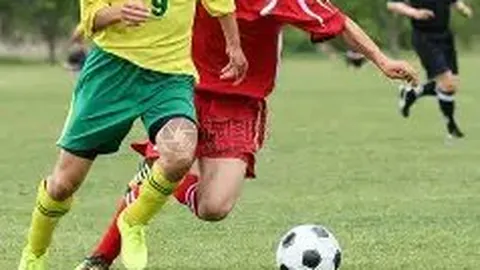 立博体育 产品 085856 l5p