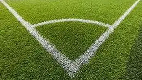 传奇中场费尔南迪尼奥告别绿茵场：23载荣耀生涯，40岁辉煌落幕！