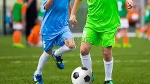 立博体育 产品 093202 306