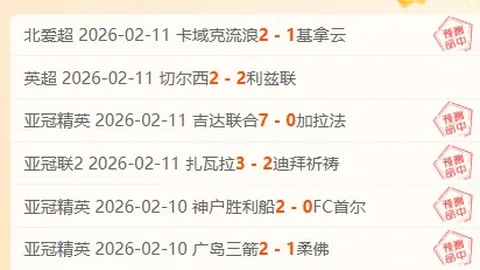 劳塔罗备战帕尔马对决有望复出，邓弗里斯或迎拜仁挑战归来